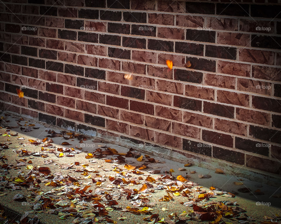 Windblown colorful leaves against a red brick  wall. 