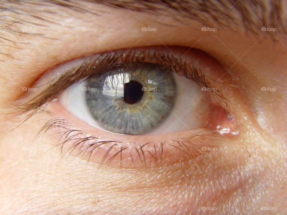 eye pupil iris eye lashes by bushler14