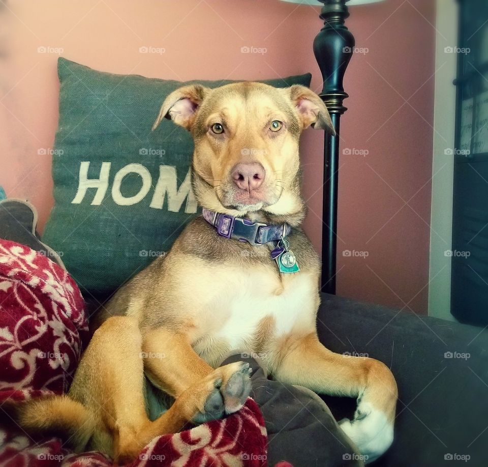 Paris is so funny with all of her poses. She is so funny.