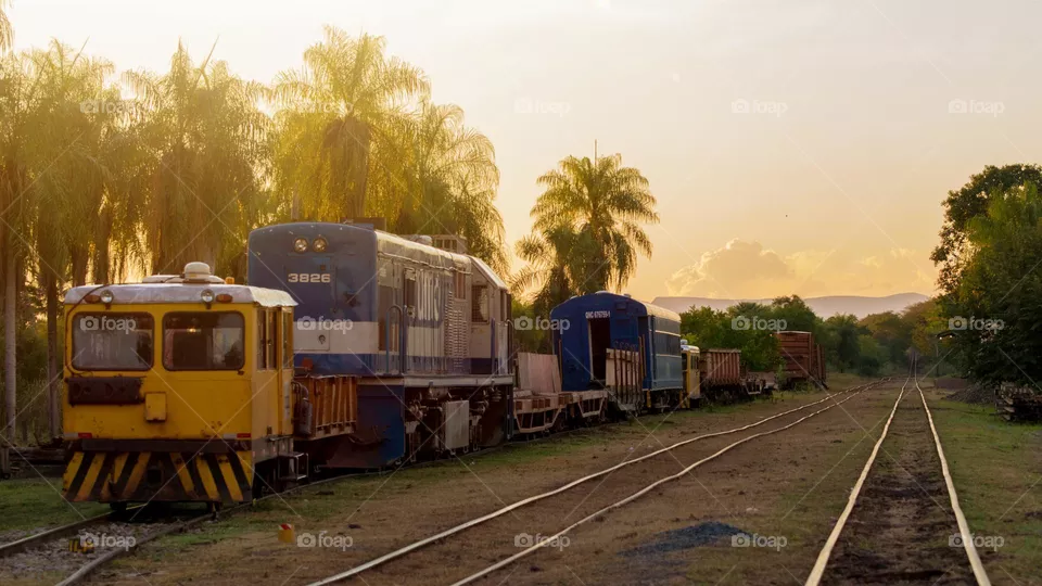 Train