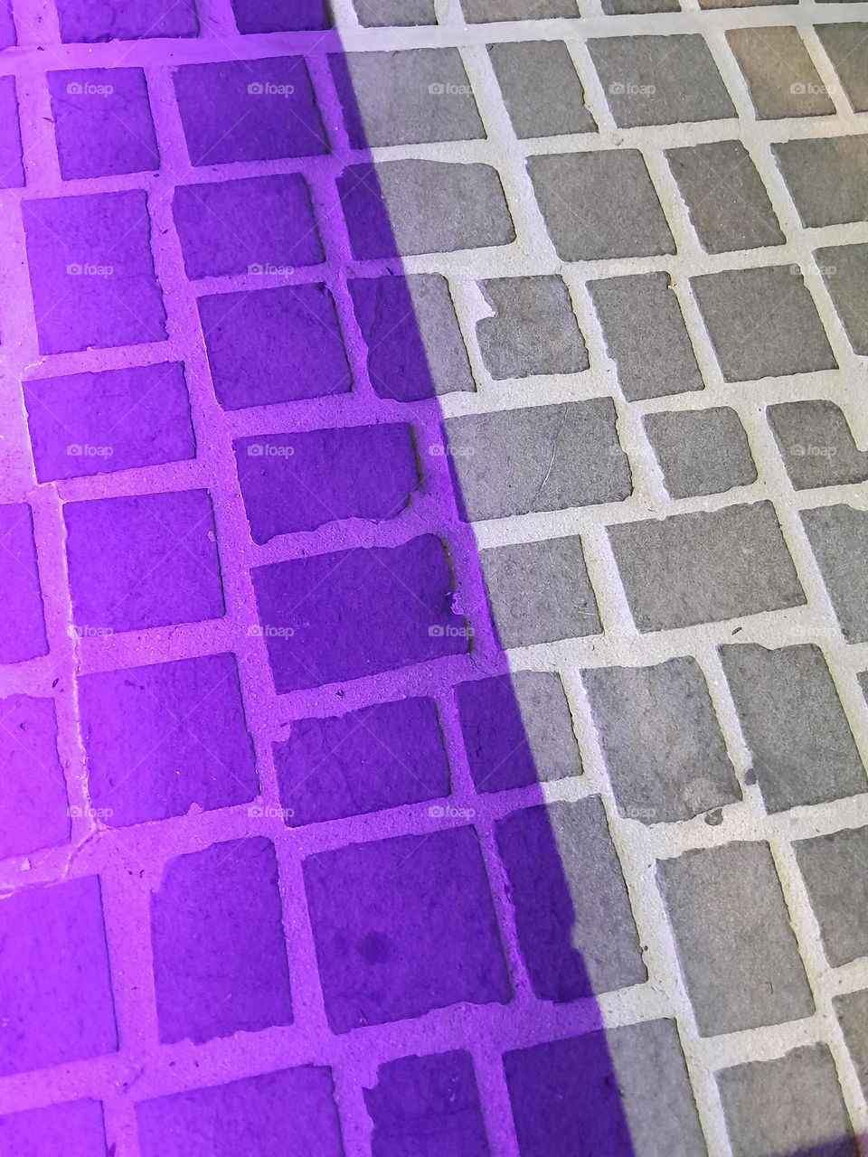 luminescent purple light glowing onto the pathway, art shows even when unintended