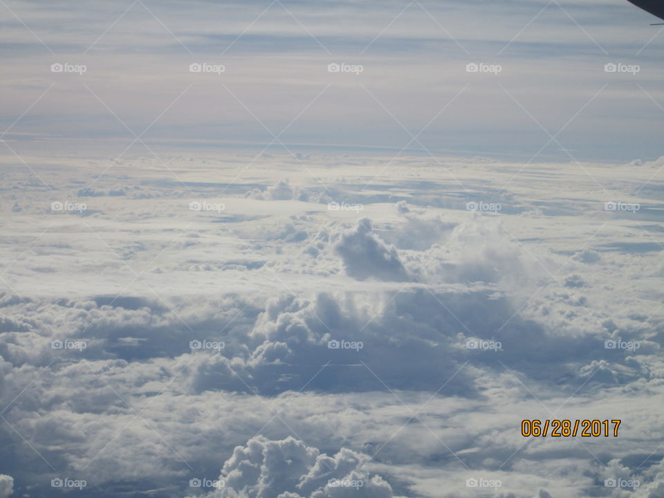 Isn't it very high for a 🐻 huh!!!!