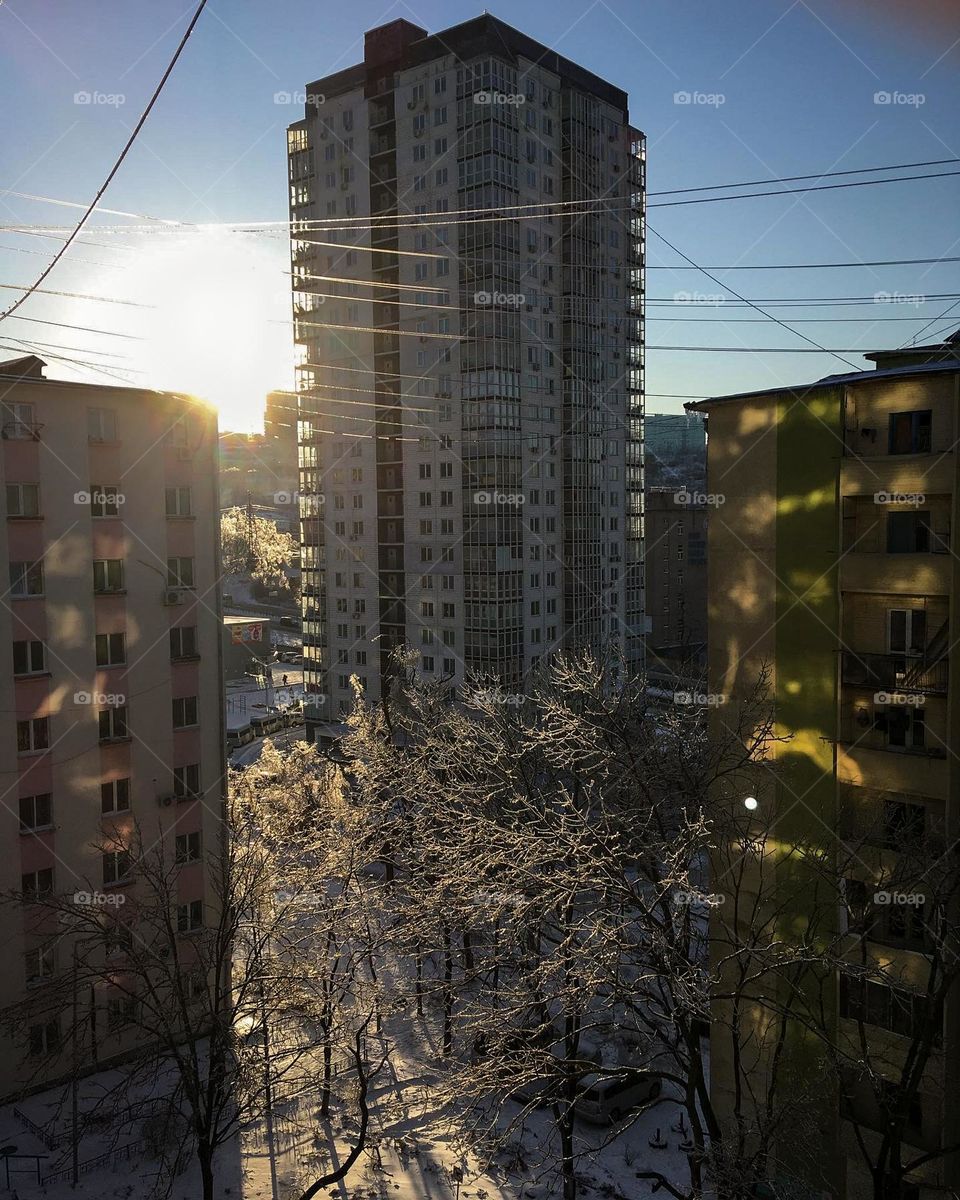 sun bunnies reflecting off the icy trees