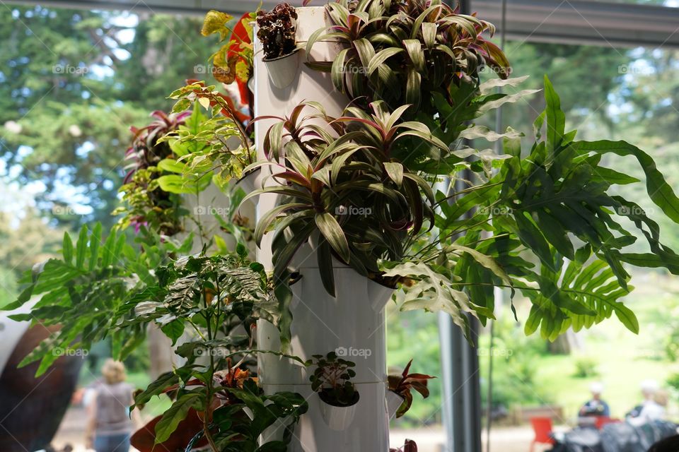 Innovative Hydroponic System For Greenhouse Plants