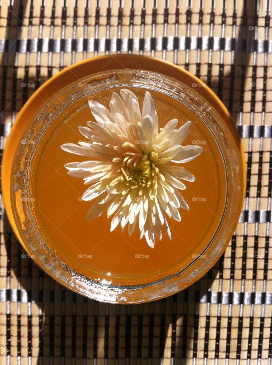 Chrysanthemum in honey