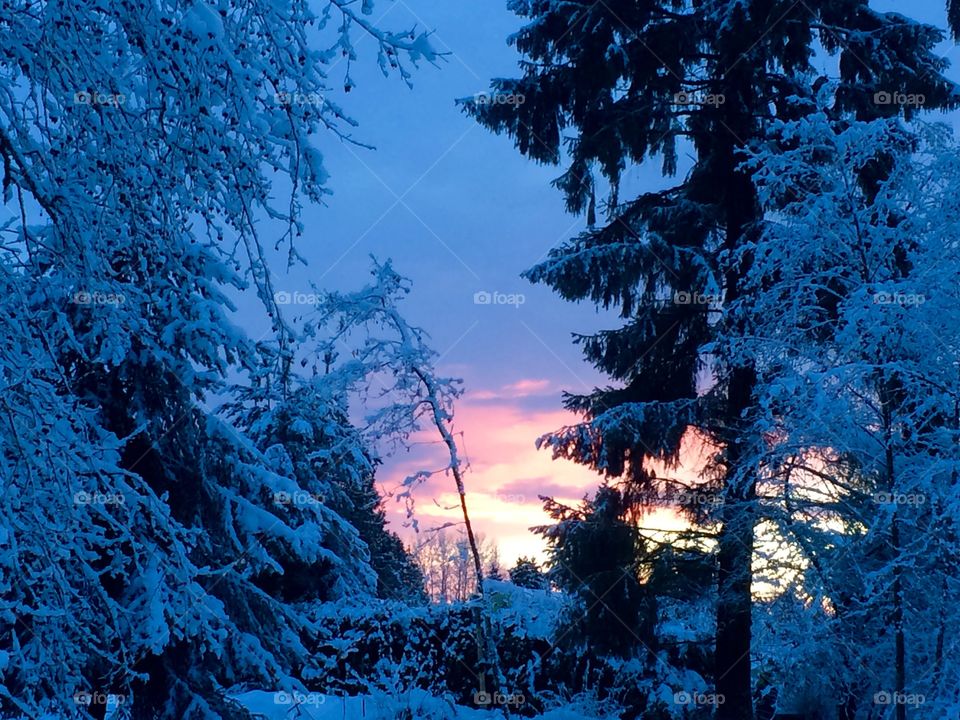 Dusk's colours on a Winter's day