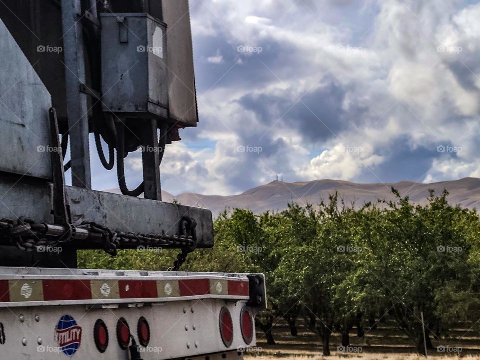Backend of a semi truck going down the highway in California on highway 5 south, with orchards flanking the roads and thick clouds in the sky
