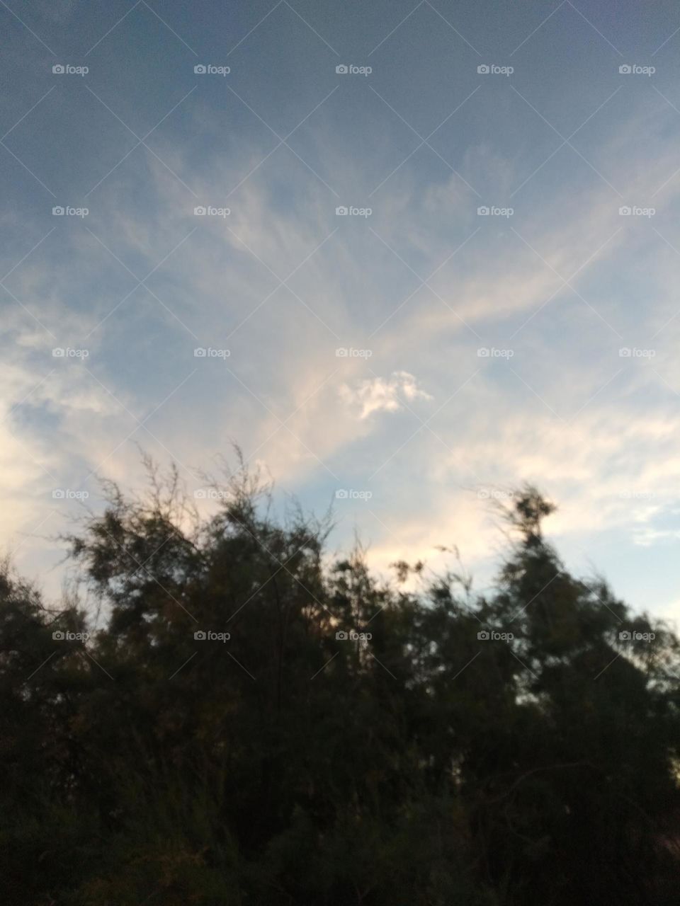 thy Sky forest clouds beautiful sight