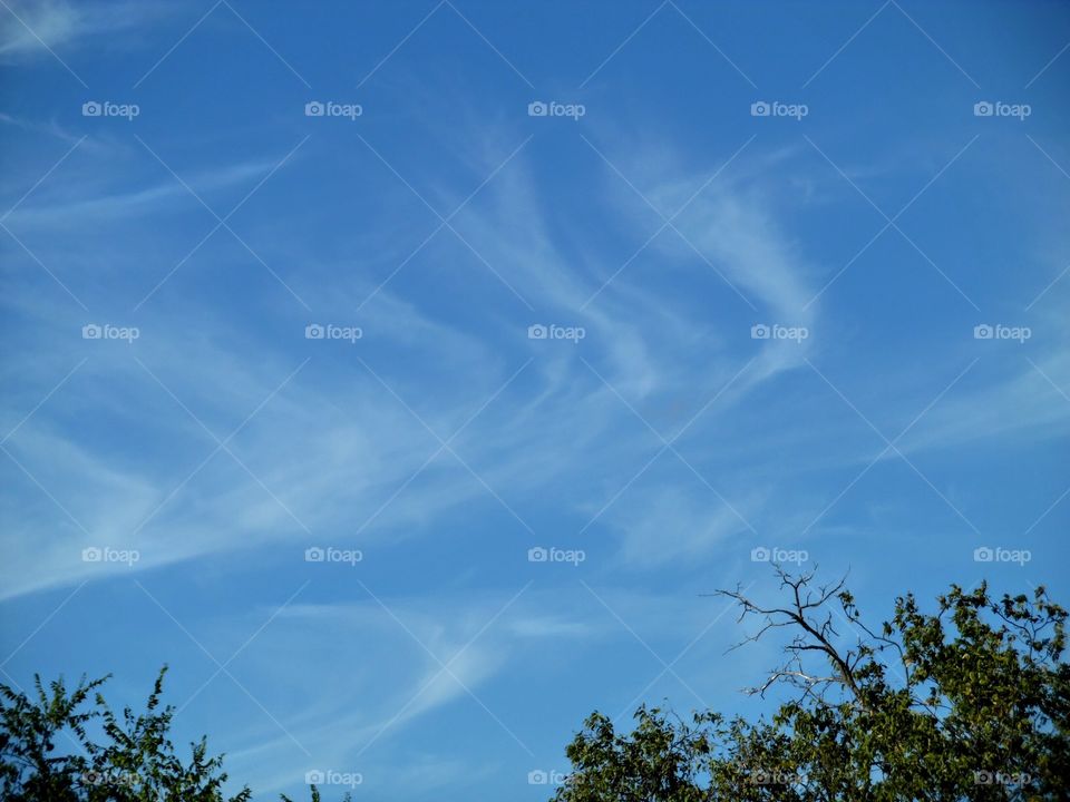 angel 😇 vapor 2. This is a picture that God gave me to be uploaded on foap. 👣 🚶 🏃 🔥 💨