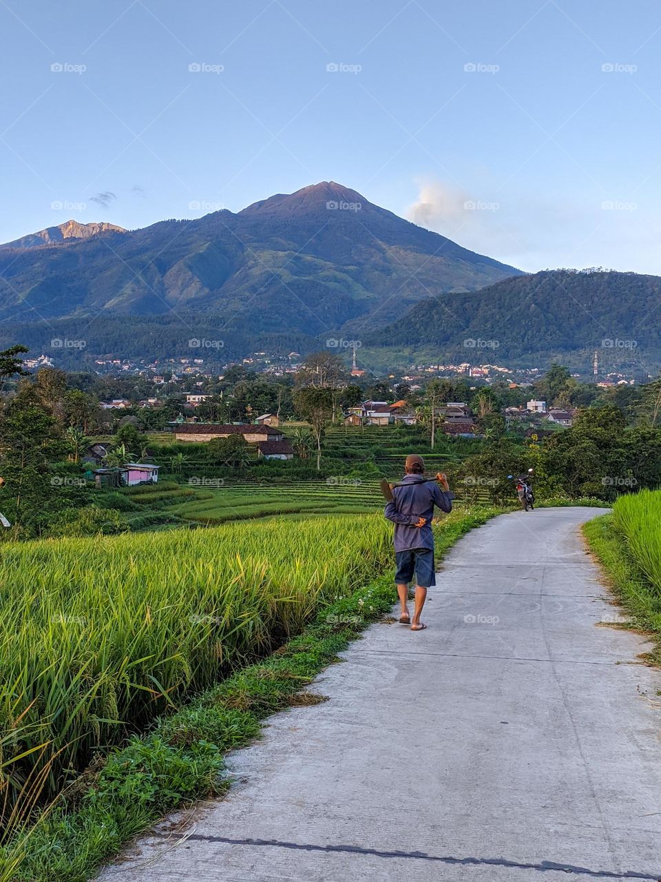 Enjoying the morning views of the countryside and rice fields which are so beautiful with a very dashing mountain background