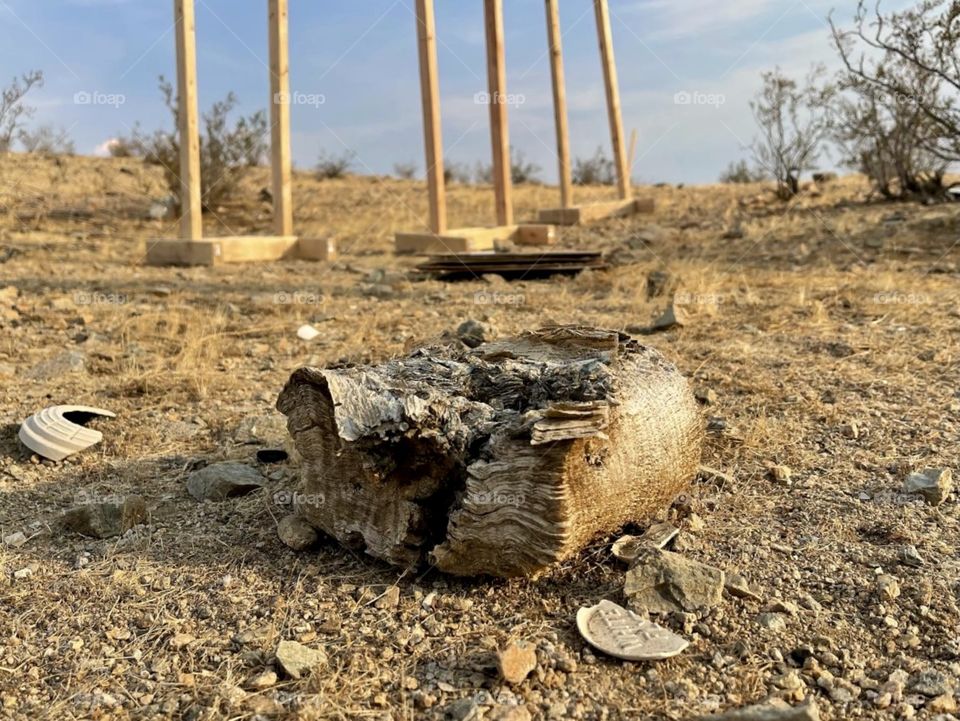 Petrified phone book 