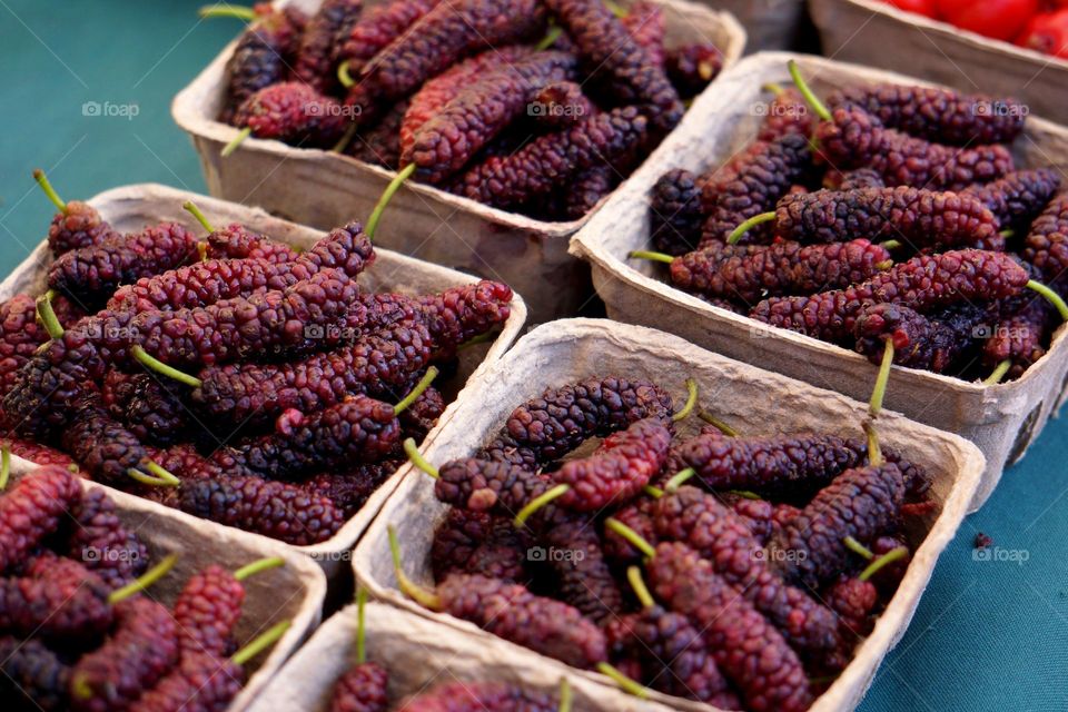 Tasty Mulberries