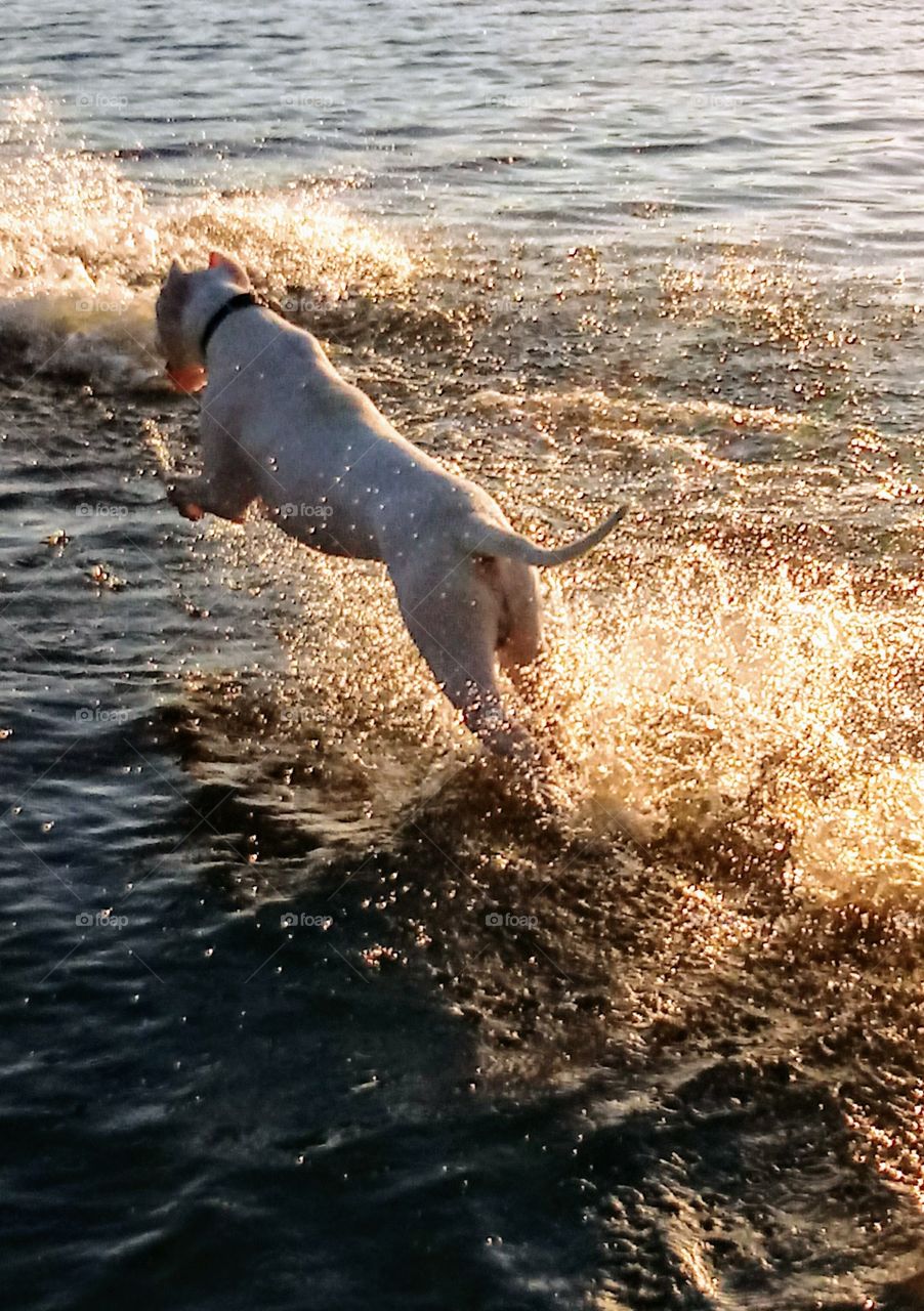 Loves the Water