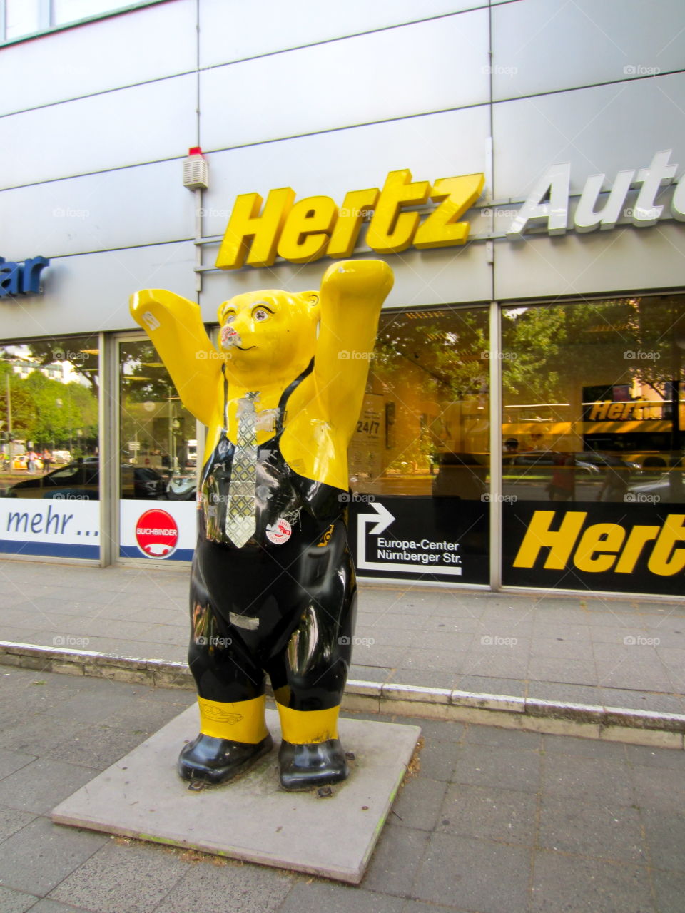 Hertz bear