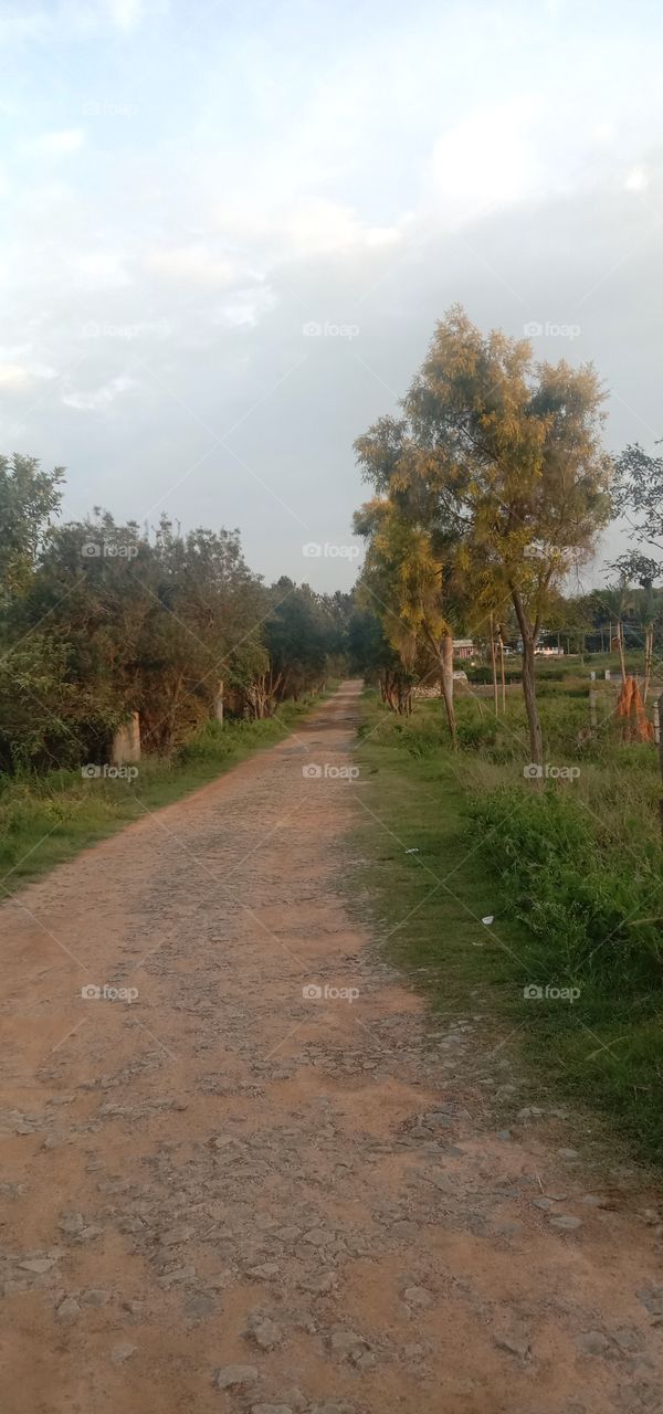 Always move forward with gratitude ❤️✨