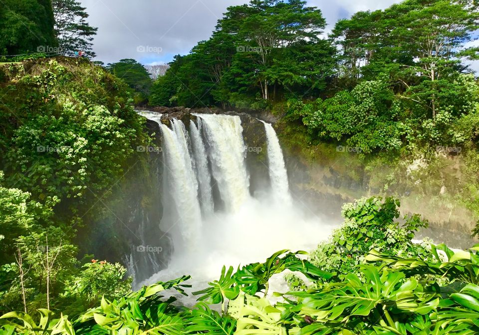 Rainbow Falls after a week of rain.