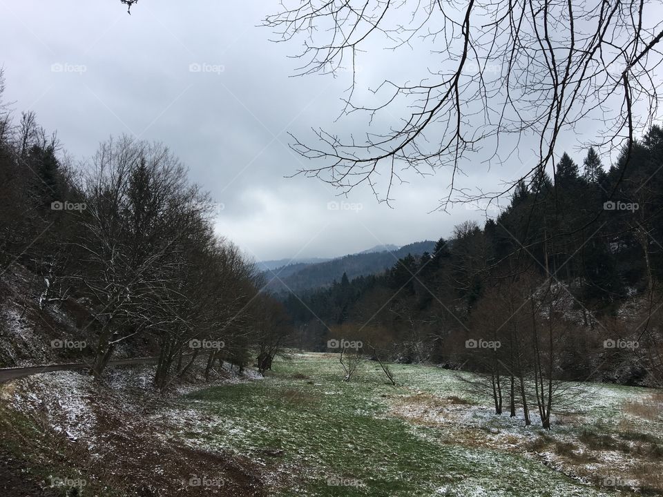 Nice walk in the morning 