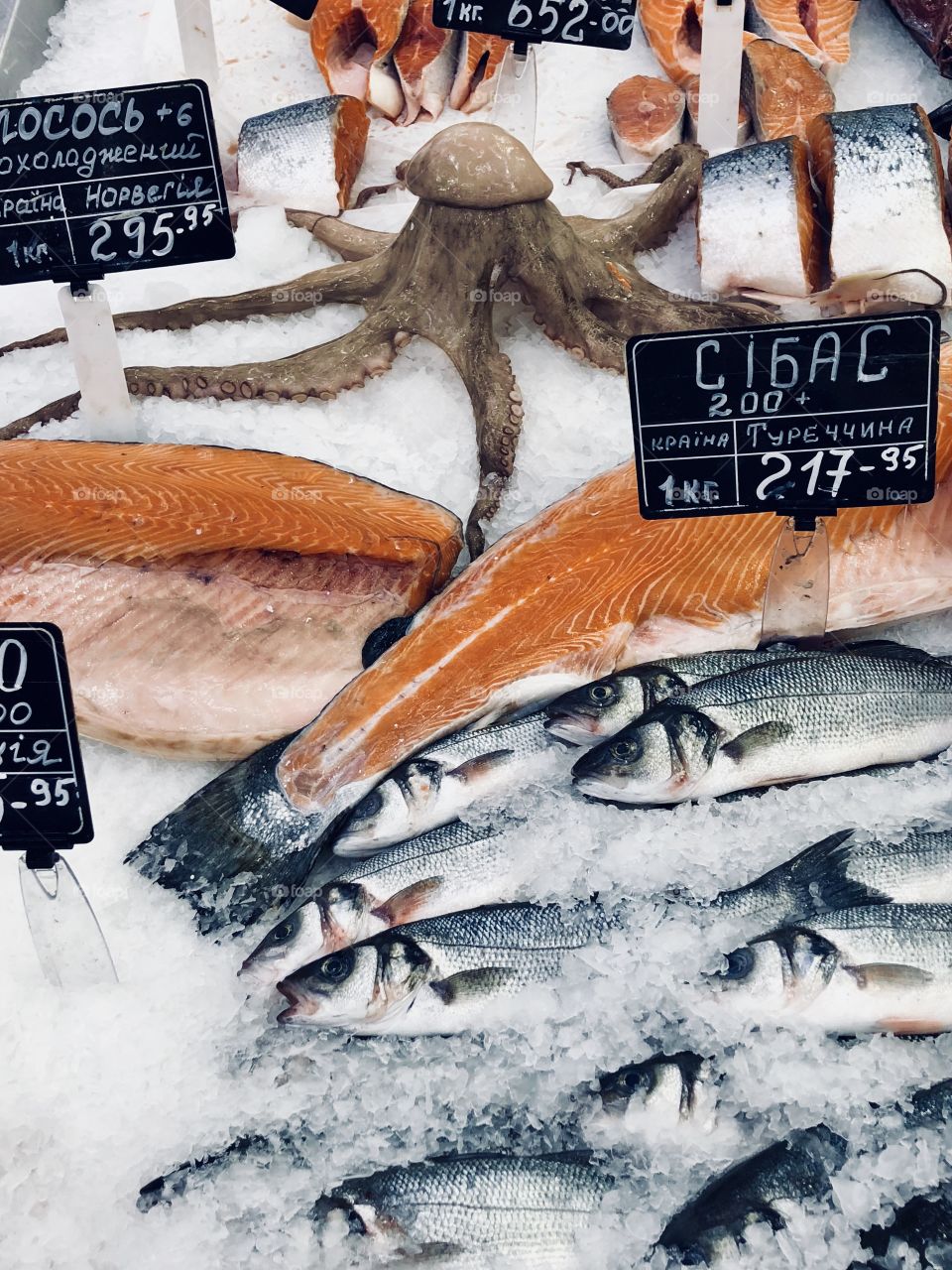 King size octopus and fish in the market