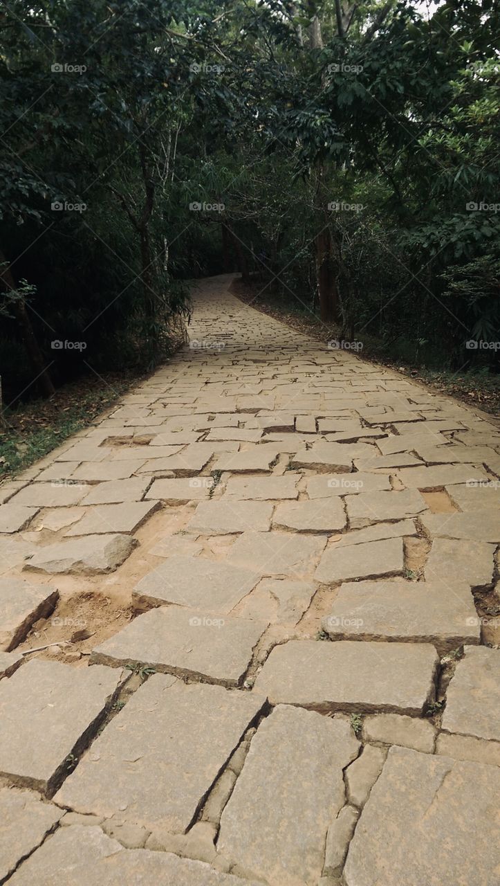 If there's one place we go above all others when we need to relax it's the forest. You could say we were lovers of forest bathing before that was even a thing!