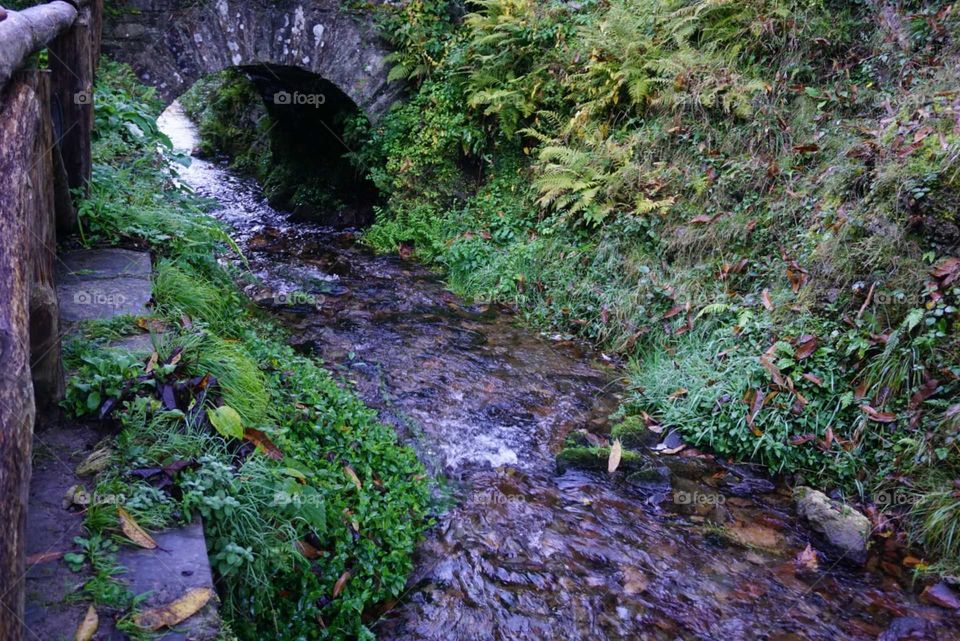 River#nature#trees#greengrass