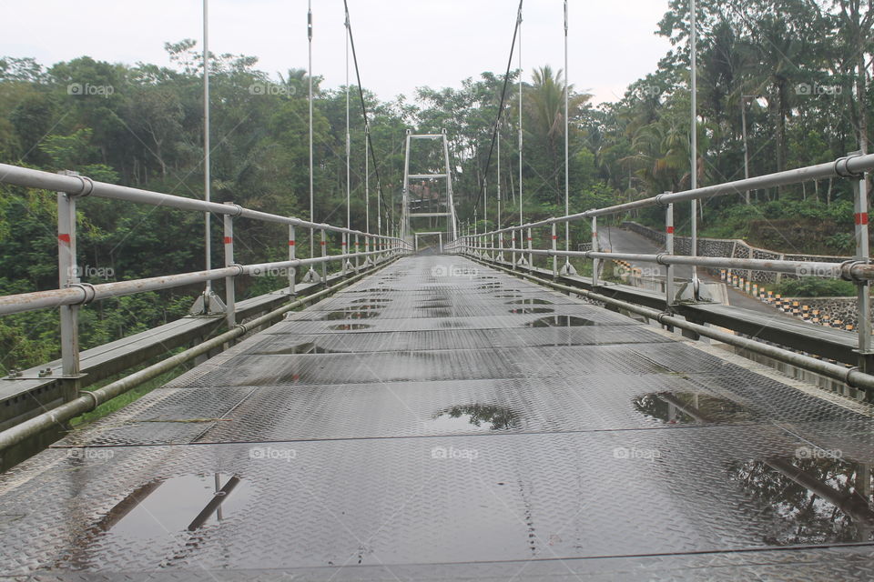 Bridge, Road, Transportation System, Guidance, Travel