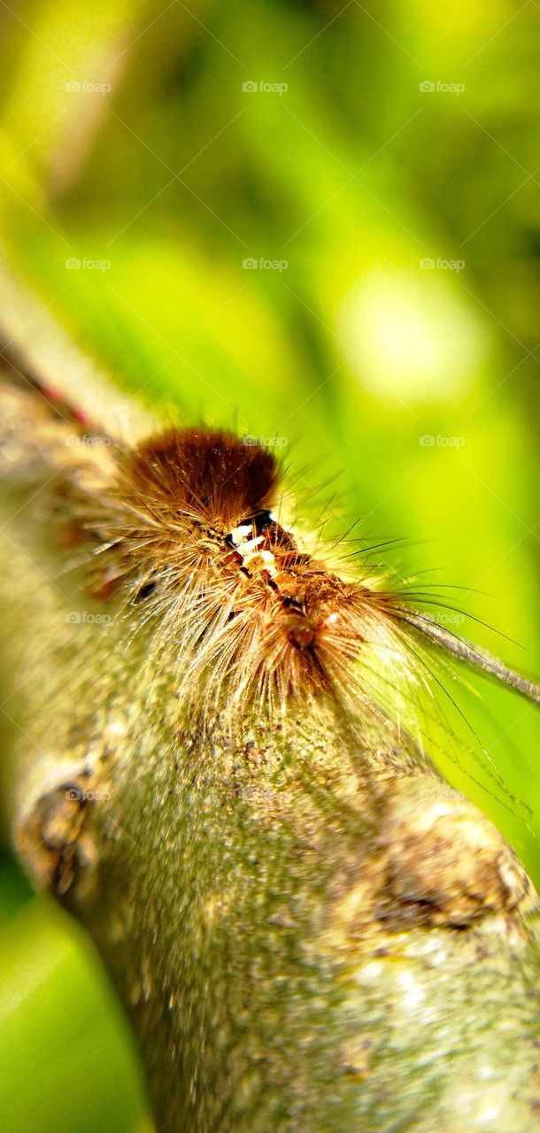 Editors' Choice: Photo of the Week