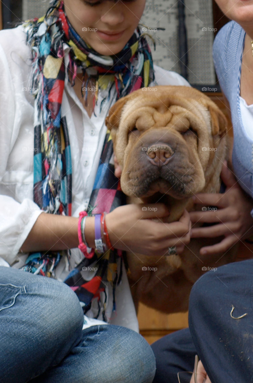 Blind sharpei