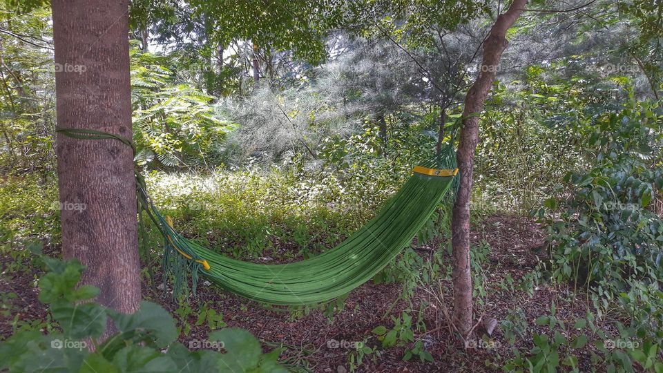 Green hammock.