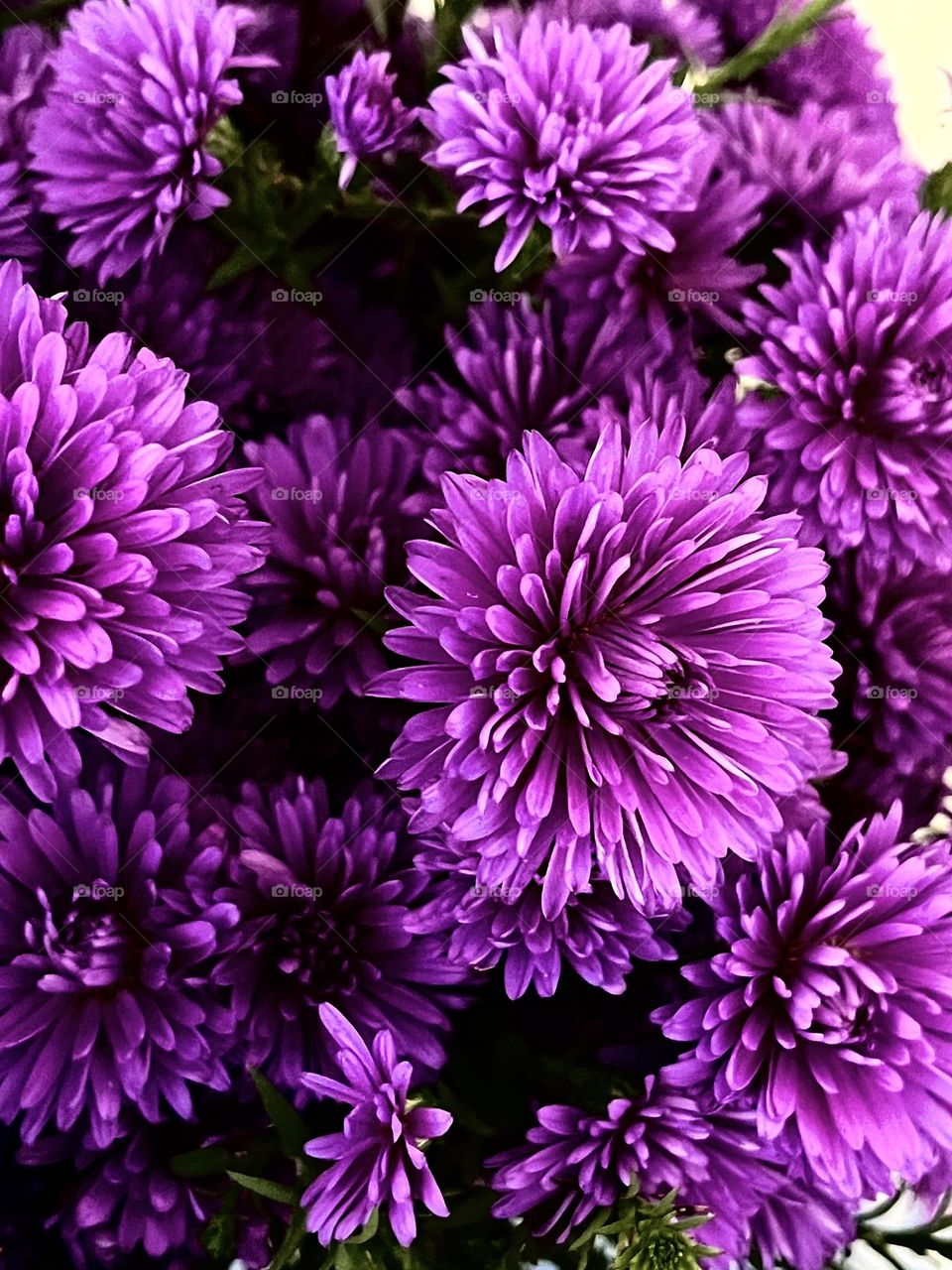 Яркие краски 