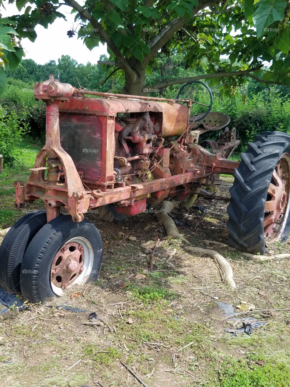 Farm, Agriculture, Rural, Tractor, Soil