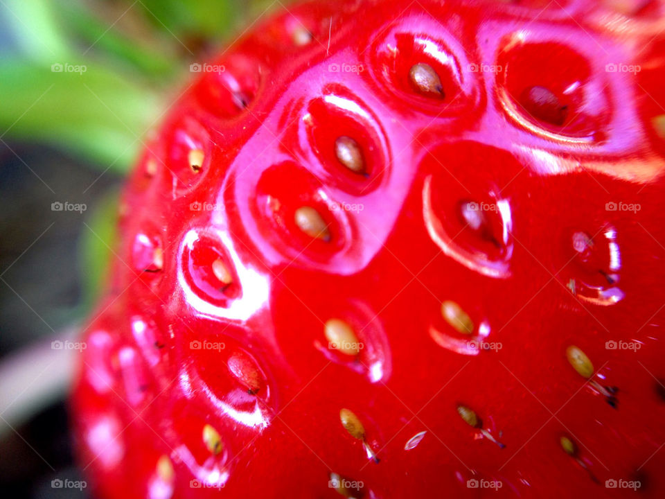 macro red summer strawberry by perfexeon