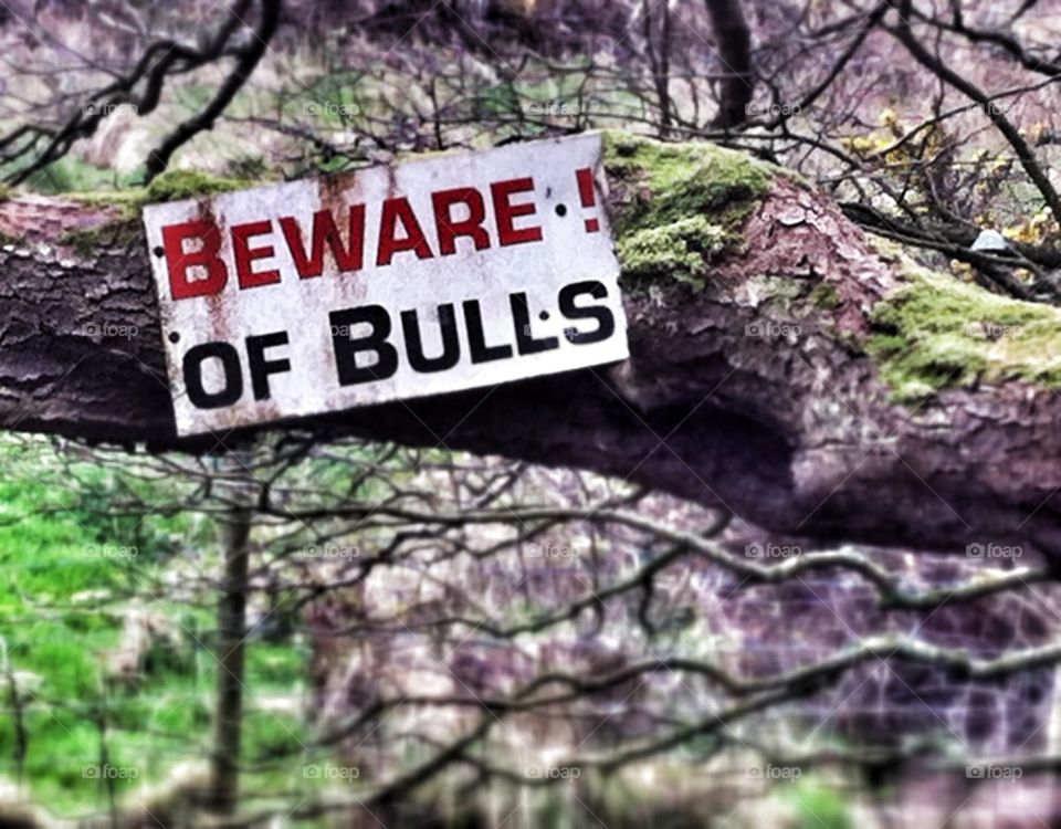 Beware of the bull