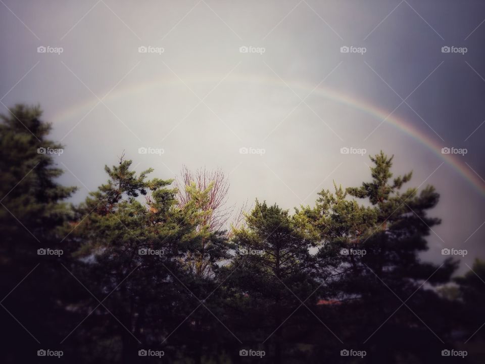 Rainbow