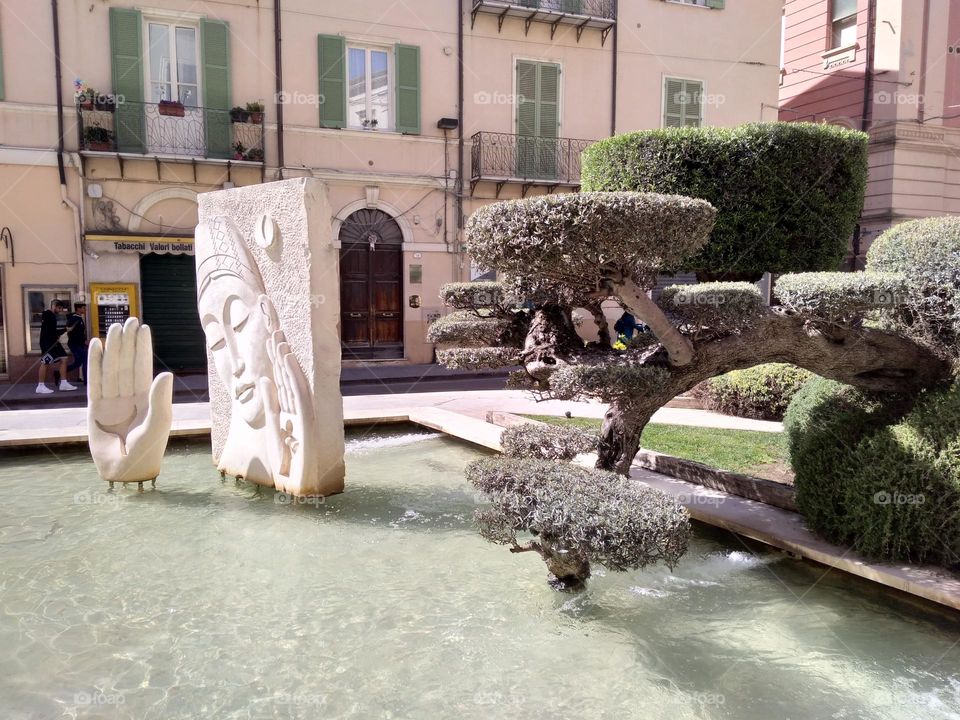 Editors' Choice: Photo of the Week