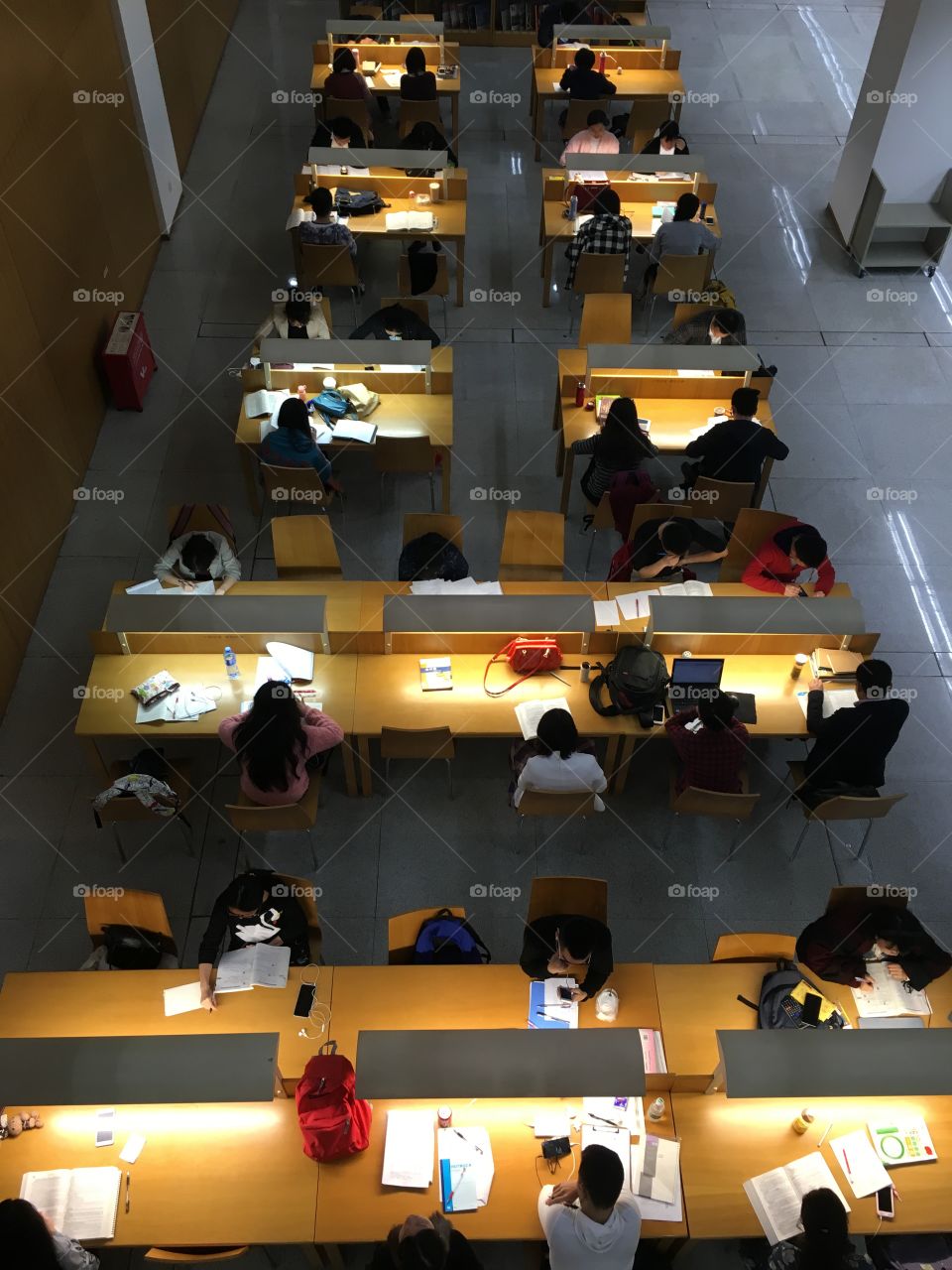 Chinese Students Studying in Shenzhen Library - China