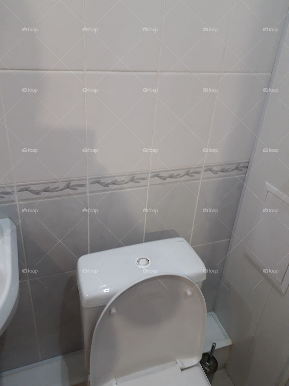 Bathroom, Washcloset, Inside, Contemporary, Lavatory