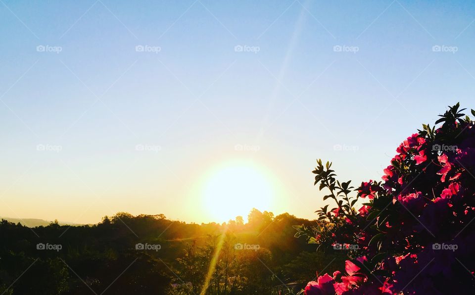 Essa é a paisagem da casa do Vovô Lili e da Vovó Lalá, há pouco.
Viva a #natureza!
📸
#FOTOGRAFIAéNOSSOhobby
#landscapes #inspiração #photography 