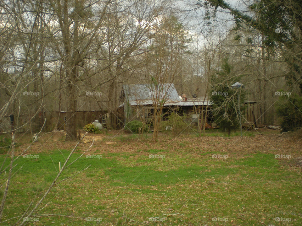 House in the country