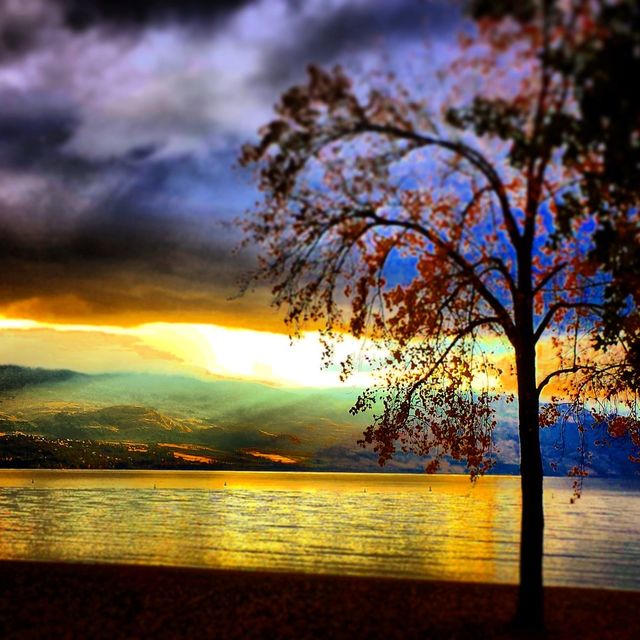 sunset