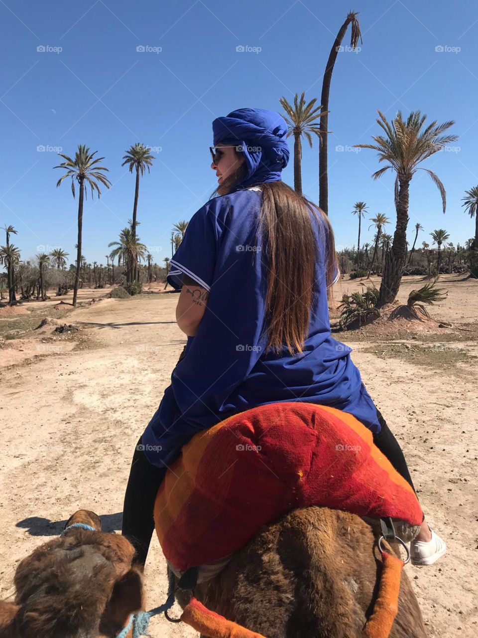 Camel Marrakesh 