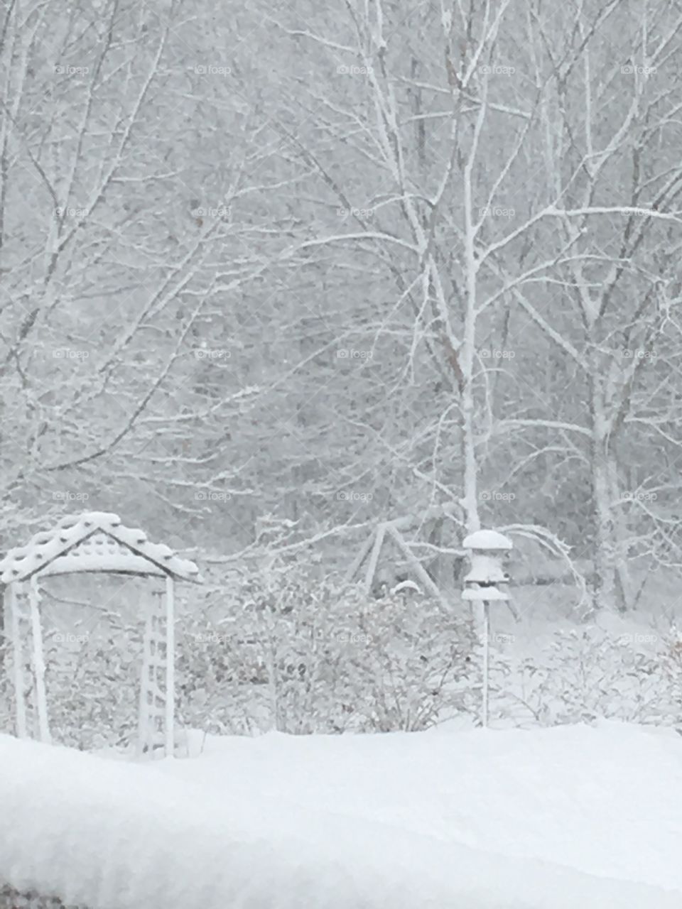 Quincy the nor’easter 