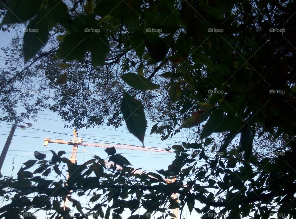 Кран на фоне неба