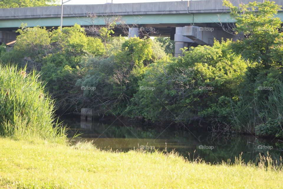 Nature, Bridge, Landscape, No Person, Water