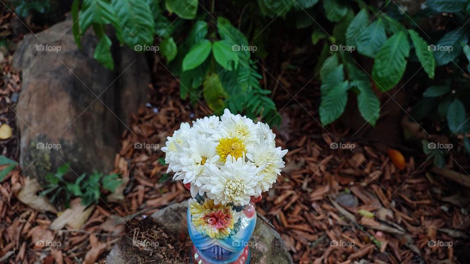 Beautiful white flowers in a colourful flowerpot with a flower sculpture, Flowers in a vase, colourful vase, white flowers in a vase