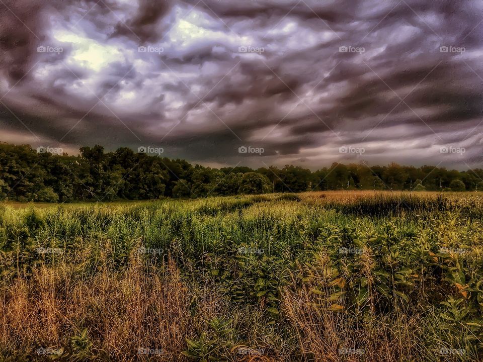Sinister clouds over a field. Dangerous looking clouds over a field
