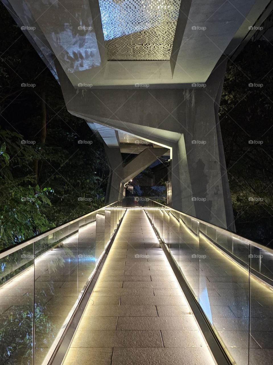 Footbridge at the Asia Society Hong Kong Center