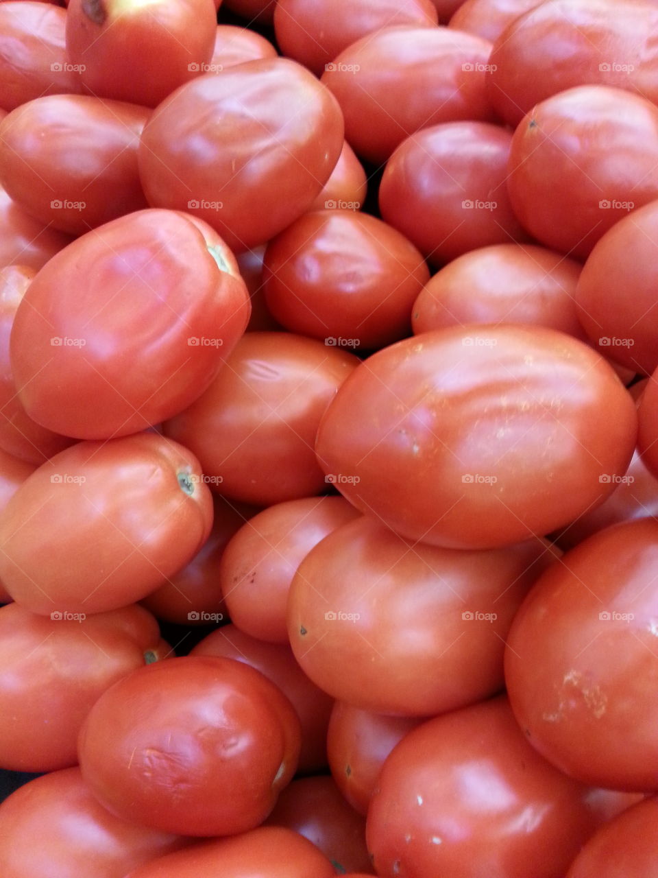 tomatoes