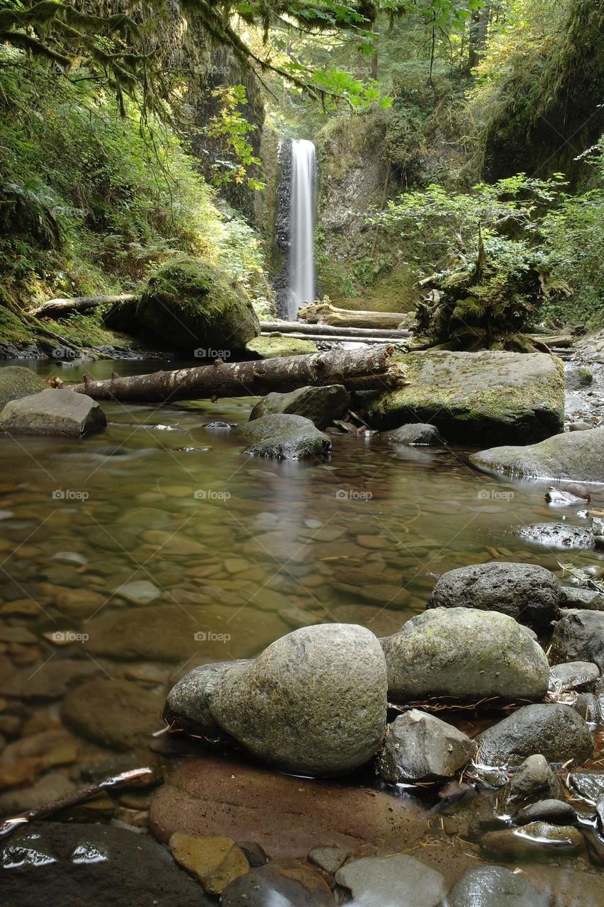 waterfall, water, river, forest, nature