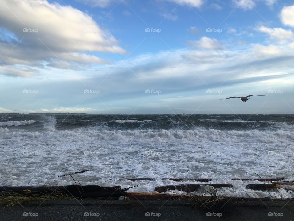 Strong currants and seagull struggling  on the wind