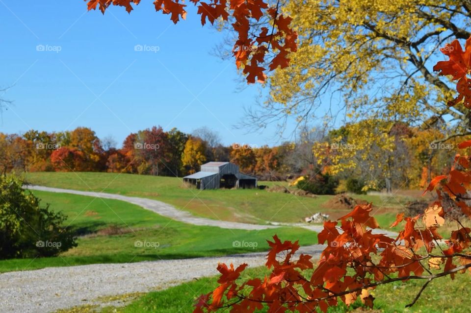 Fall on the Farm. Red barn in a country fall setting